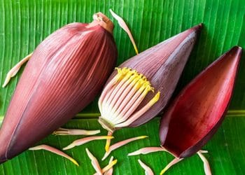 jantung pisang