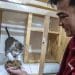 Perhatian Ini Saat Memberi Makan Kucing Anda