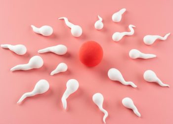 Manfaat Ekstrak Akar Ashwagandha untuk Kesehatan Sperma Pria