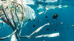 Menteri Keuangan Didesak Beri Cukai Bijih Plastik, Warisan Kesehatan dan Lingkungan