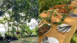 Kuliner Seru di Banyuwangi: 8 Tempat Terbaik 2025 di Jawa Timur