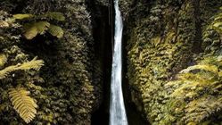 6 Tempat Air Terjun Paling Indah di Bali untuk Healing yang Menyenangkan