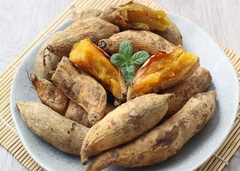 manfaat ubi Cilembu