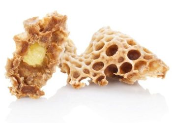 Manfaat Royal Jelly: Nutrisi Alami untuk Redakan PMS dan Percepat Penyembuhan Luka