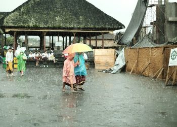 Hadapi Musim Hujan, Dirut BPJS Kesehatan Waspadai Lonjakan DBD