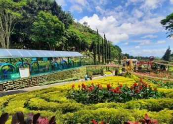 Promo Tiket Masuk Taman Rekreasi Selecta Batu 2025: Pesan Sekarang!