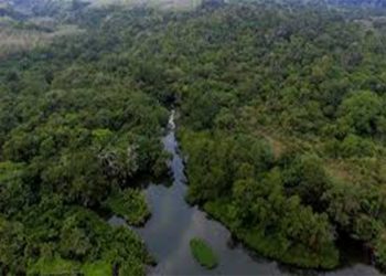 Wisata Alam Garut: Keajaiban Leuweung Sancang, Nangklak, dan Curug Sanghyang Taraje