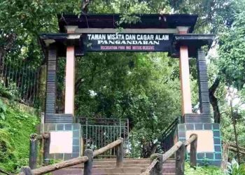 Di Manakah Cagar Alam Pananjung Pangandaran? Ini Lokasi, Ciri, dan Keunikan!
