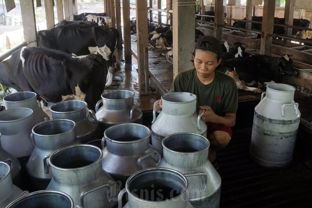 Garut Percepat Hilirisasi Susu, Desa Sukamurni Siap Produksi Yoghurt hingga Keju Bernilai Tinggi