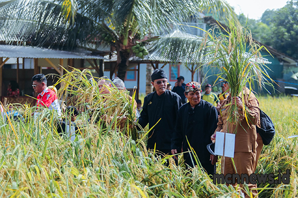 Hadiri Panen Raya, Bupati Herdiat Canangkan Ciamis sebagai Kabupaten Organik pada 2026