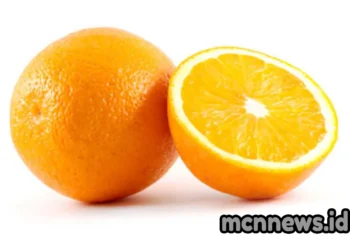 jerukcvr