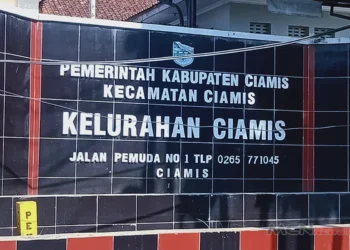 Profil lengkap Kelurahan Ciamis