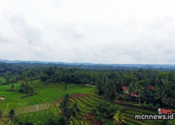 Kecamatan Sukadana