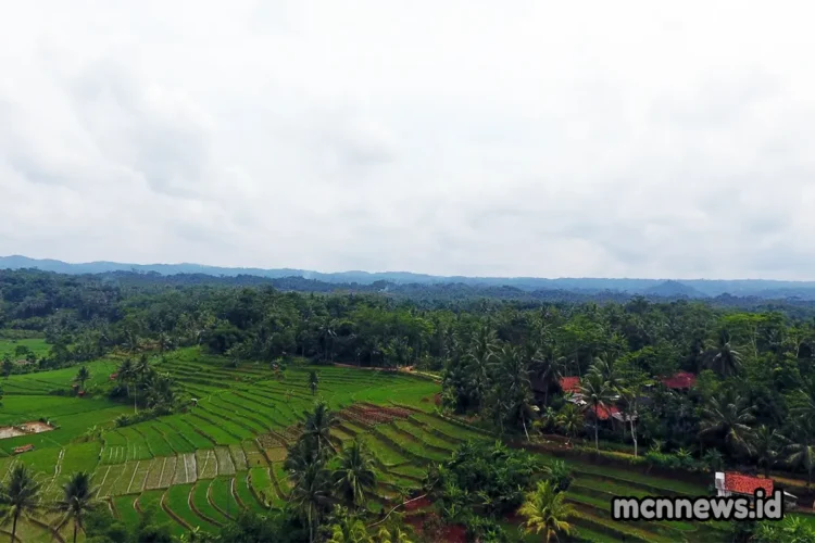 Kecamatan Sukadana