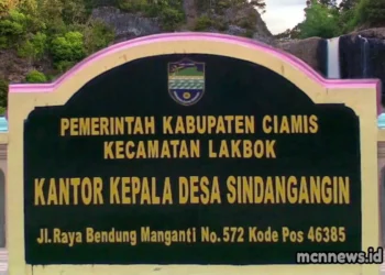 Profil Desa Sindangangin