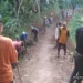 Profil Desa Sukasetia