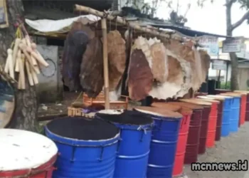 Geliat Ekonomi Beduk