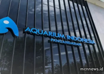 Aquarium Indonesia