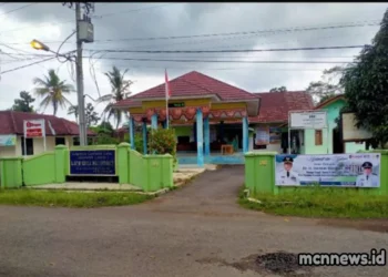 Profil Desa Cintaratu