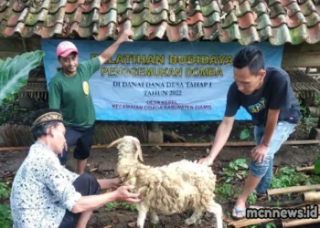 Profil Desa Kepel