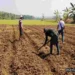 Profil Desa Bantarsari