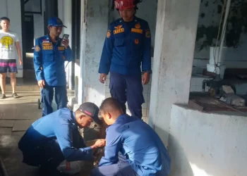 Aksi cepat Damkar