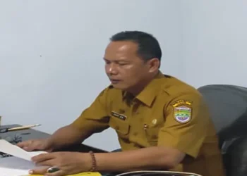 Kelangkaan Minyakita