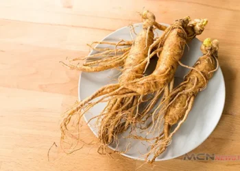 ginseng Jawa