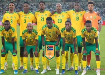 Timnas Afrika Selatan