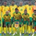 Timnas Afrika Selatan
