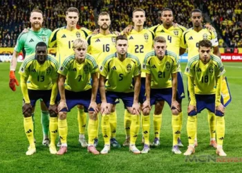 Timnas Swedia